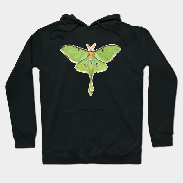 Luna Moth Hoodie by JadaFitch